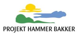 Projekt Hammer Bakker