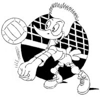Vodskov Volleyball Klub